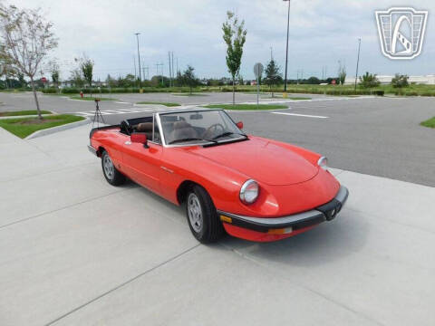 1984 Alfa Romeo Spider Veloce