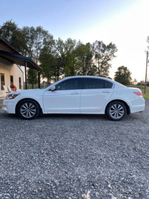 2011 Honda Accord for sale at Cove Creek Motors LLC in Damascus, AR