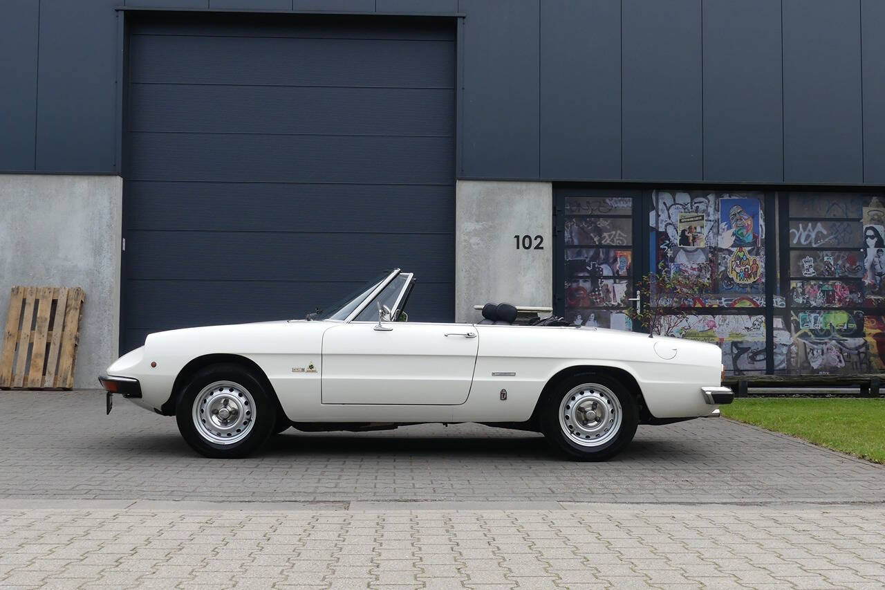 1977 Alfa Romeo Spider for sale at Flemingstoke in Costa Mesa, CA