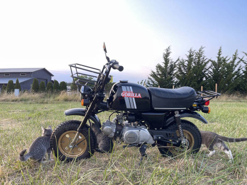 1983 Honda Gorilla