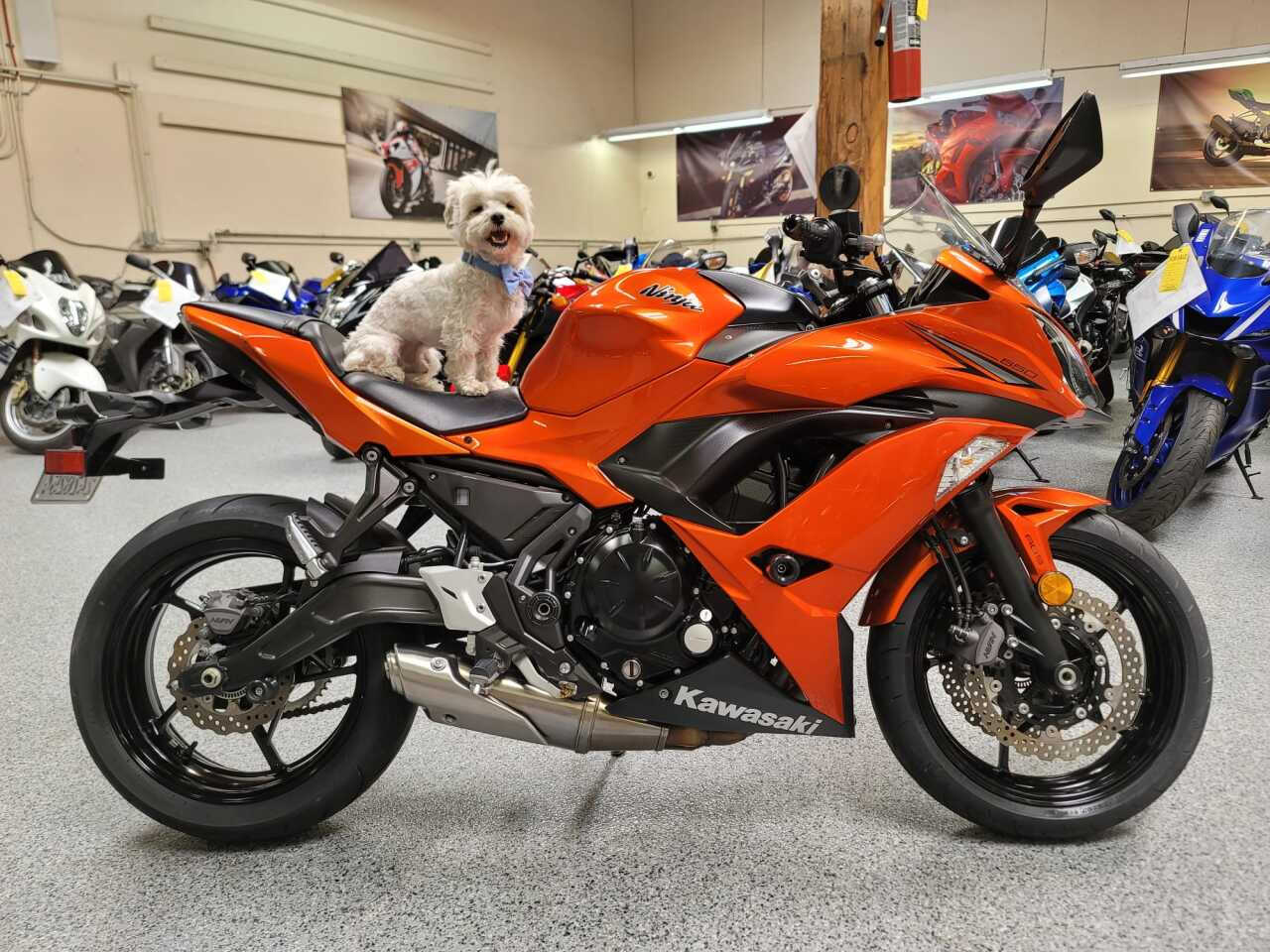 Used Kawasaki Ninja 650 For Sale In Reno, NV