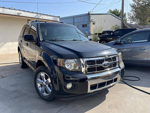 2010 Ford Escape Limited