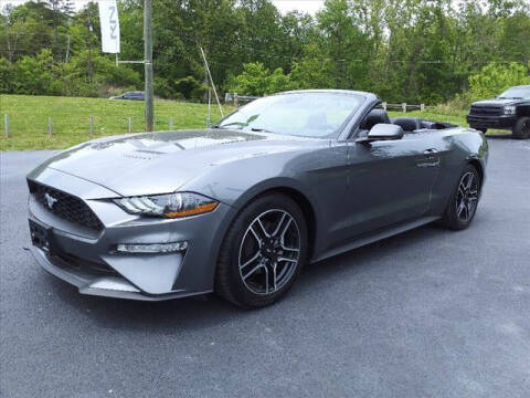 2021 Ford Mustang for sale at RUSTY WALLACE KIA Alcoa in Louisville TN