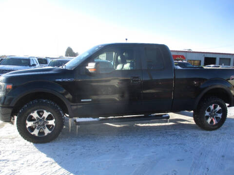 2013 Ford F-150 FX4