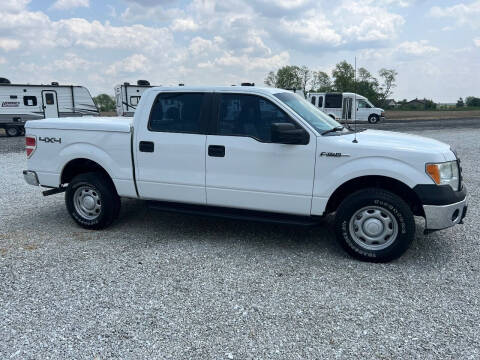 2011 Ford F-150 for sale at MOES AUTO SALES in Spiceland IN