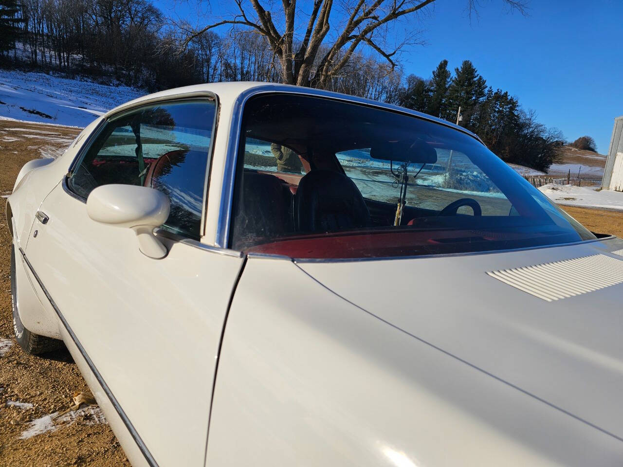 1976 Pontiac Trans Am 260