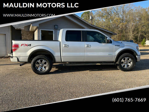 2013 Ford F-150 for sale at MAULDIN MOTORS LLC in Sumrall MS