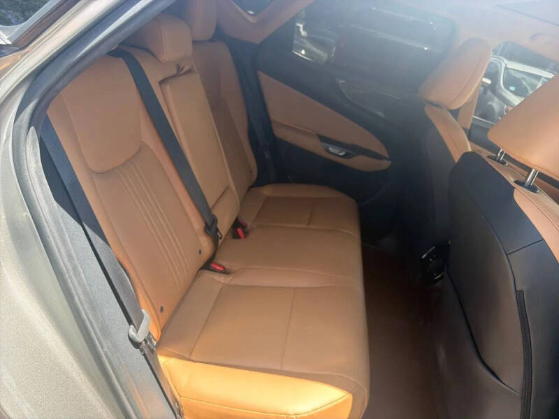 2024 Lexus NX 250 Premium