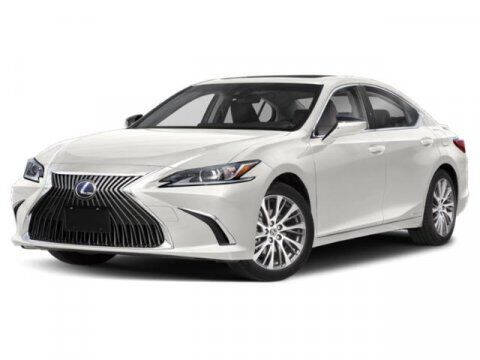2019 Lexus ES 300h for sale at Carl Cannon in Jasper AL