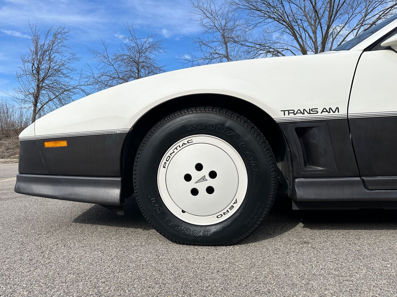 1983 Pontiac Firebird Trans Am 15