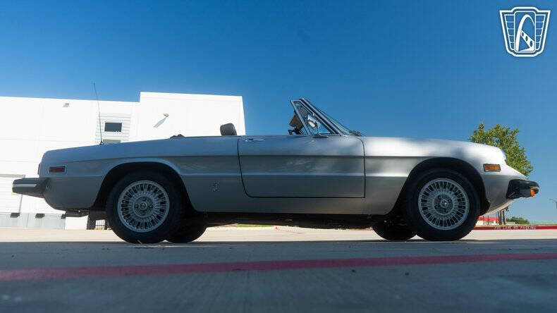 1976 Alfa Romeo Spider