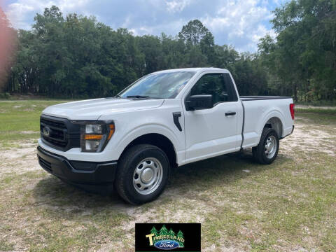 2023 Ford F-150 for sale at TIMBERLAND FORD in Perry FL