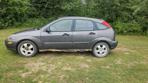 2003 Ford Focus for sale at Expressway Auto Auction in Howard City MI