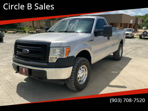 2014 Ford F-150 for sale at Circle B Sales in Pittsburg TX