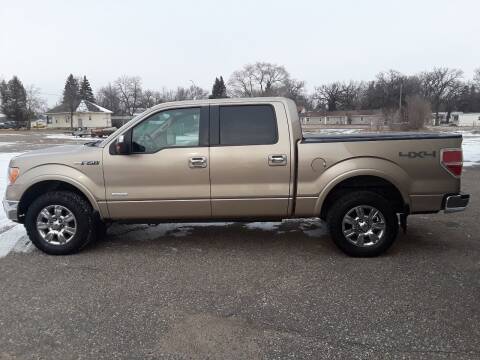 2011 Ford F-150 for sale at Genesis Auto Sales in Wadena MN
