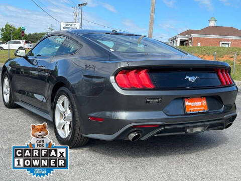2019 Ford Mustang EcoBoost
