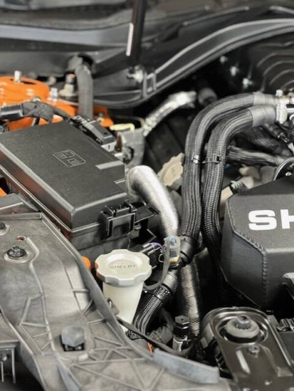 2021 Ford Mustang Shelby GT500