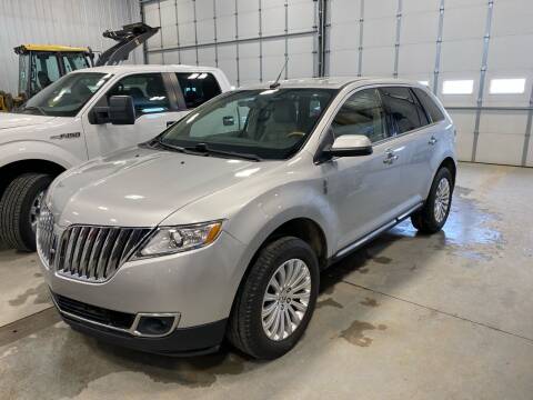 2012 Lincoln MKX for sale at RDJ Auto Sales in Kerkhoven MN