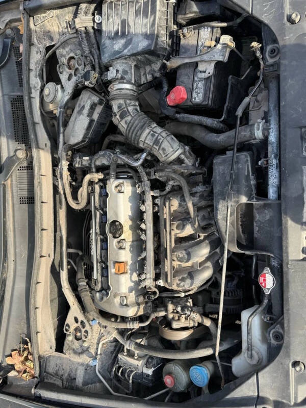 2010 Honda Accord EX