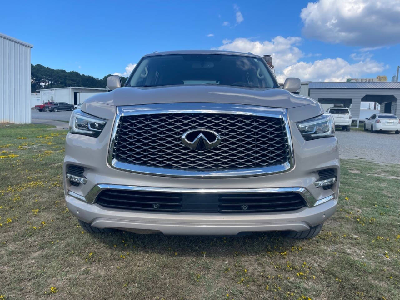 2019 INFINITI QX80 for sale at Madco Auto Sales in Bryant, AR