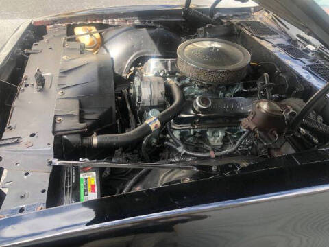 1979 Pontiac Firebird