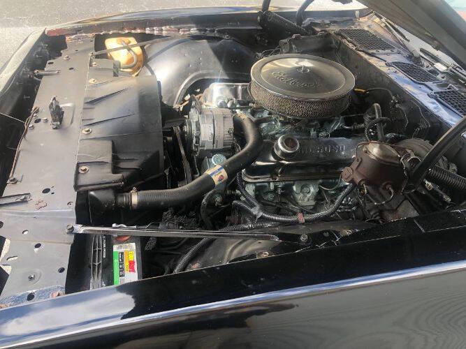 1979 Pontiac Firebird