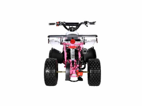 2025 Coolster 110cc 3050B2