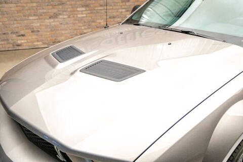 2008 Ford Shelby GT500