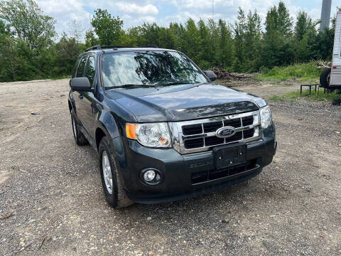 2009 Ford Escape XLT
