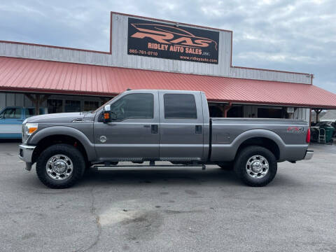 2014 Ford F-250 Super Duty for sale at Ridley Auto Sales, Inc. in White Pine TN