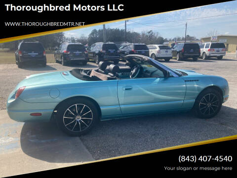 2002 Ford Thunderbird for sale at Thoroughbred Motors LLC in Scranton SC