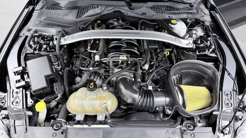 2019 Ford Mustang BULLITT