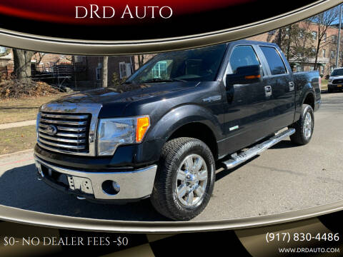 2011 Ford F-150 for sale at DRD Auto in Brooklyn NY