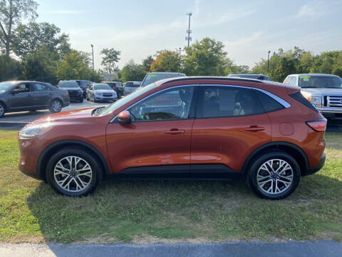 2020 Ford Escape for sale at Newcombs Auto Sales in Auburn Hills MI