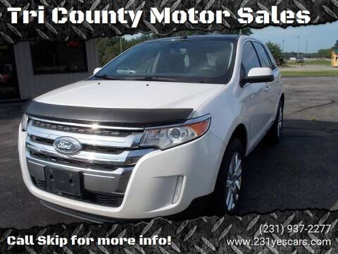 2011 Ford Edge for sale at Tri County Motor Sales in Howard City MI
