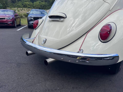 1965 Volkswagen Beetle