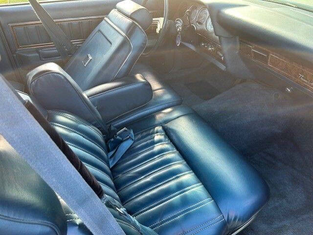 1979 Ford Thunderbird 17