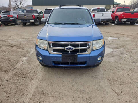 2010 Ford Escape XLT