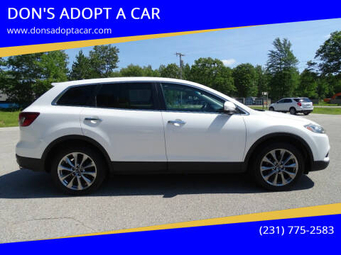 2015 Mazda CX-9 for sale at DON'S ADOPT A CAR in Cadillac MI