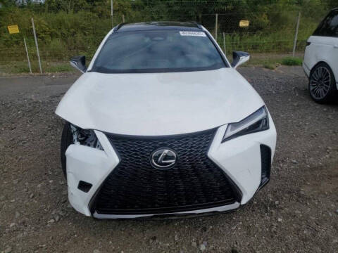 2025 Lexus UX 300h
