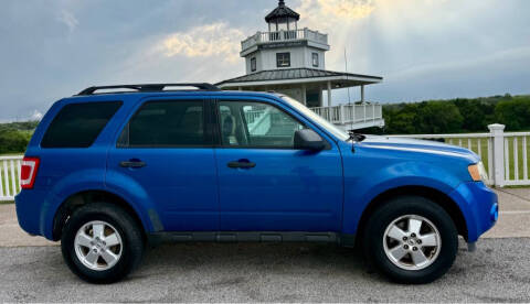 2011 Ford Escape XLT