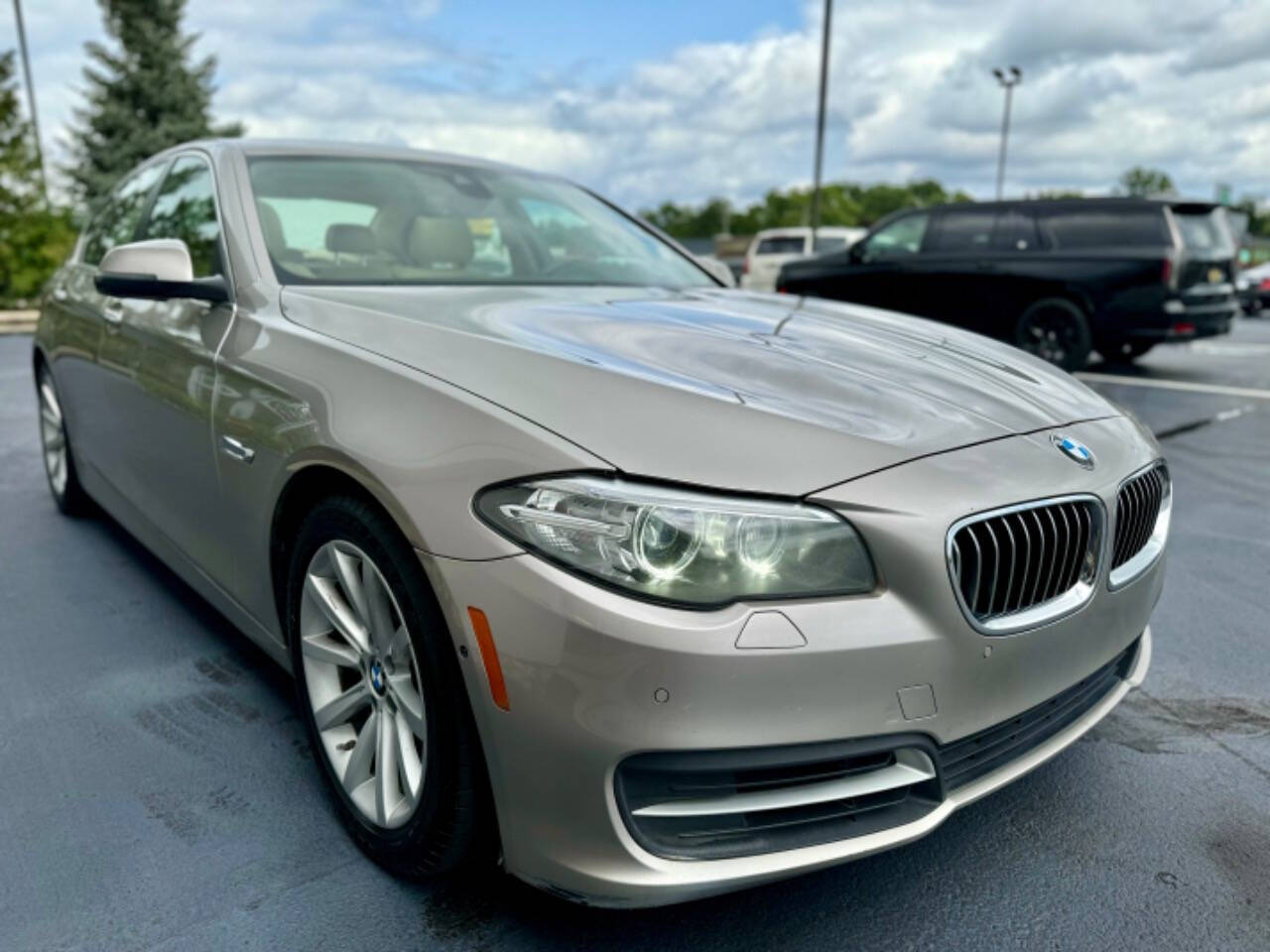 2014 BMW 5 Series for sale at Opus Motorcars in Utica, MI