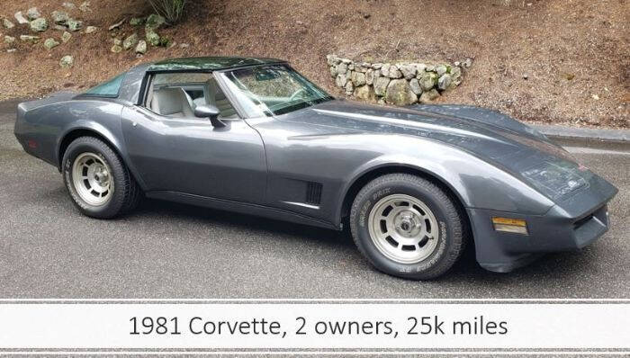 1981 Chevrolet Corvette