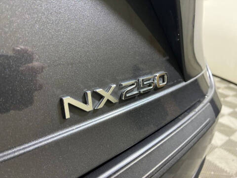 2024 Lexus NX 250