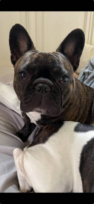 2008 Toyota Tundra SR5