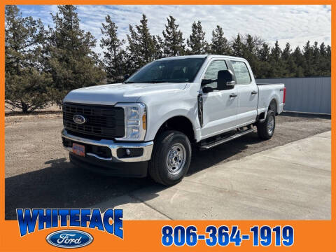 2025 Ford F-250 Super Duty for sale at Whiteface Ford in Hereford TX