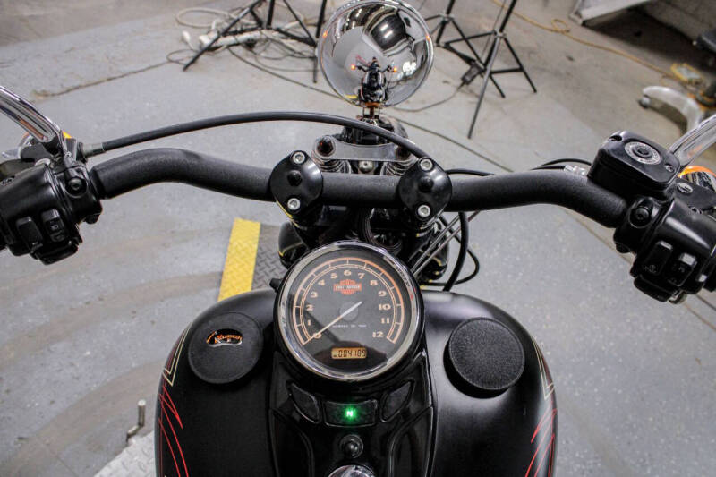 2010 Harley-Davidson Softail