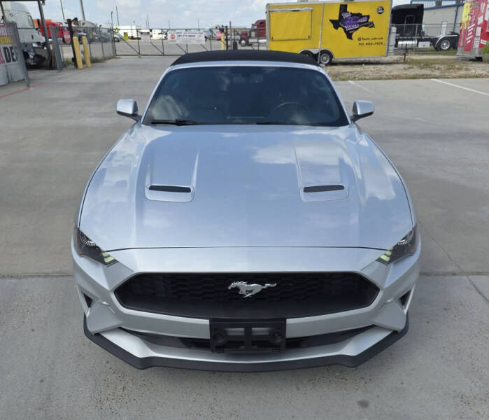 2019 Ford Mustang