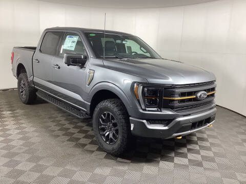 2023 Ford F-150 for sale at Everyone's Financed At Borgman in Grandville MI