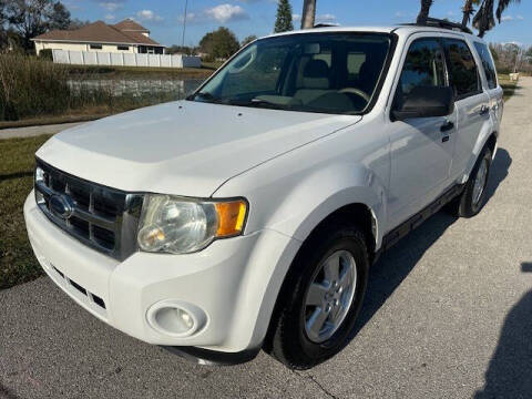 2010 Ford Escape for sale at CLEAR SKY AUTO GROUP LLC in Land O Lakes FL